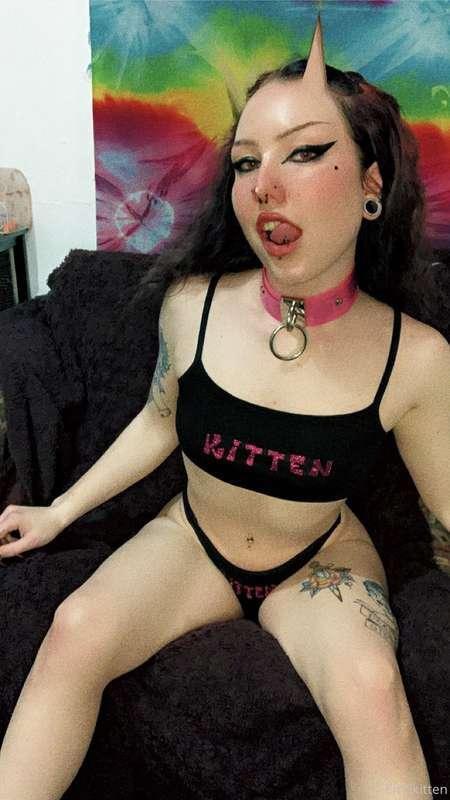 free3mokitten image #0