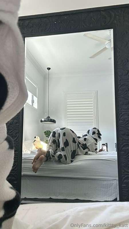 kittty_katt image #0