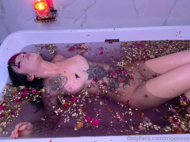 trippirose image #5