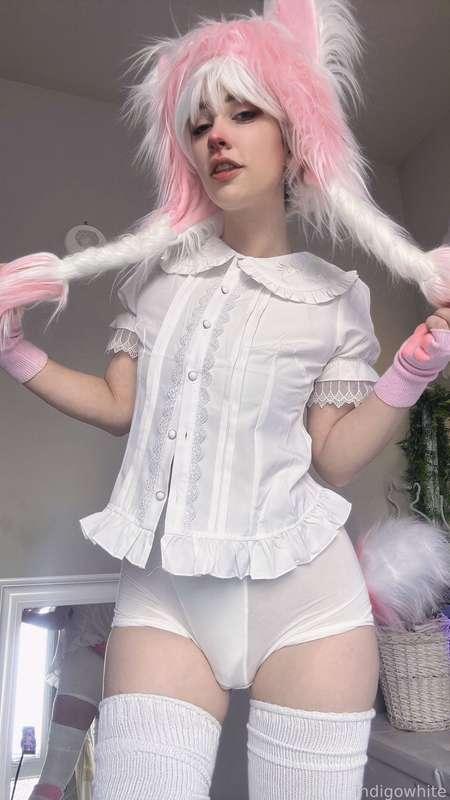 indigowhite image #139