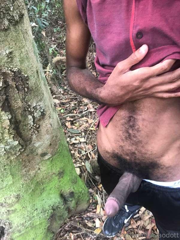 montalvaodott image #2