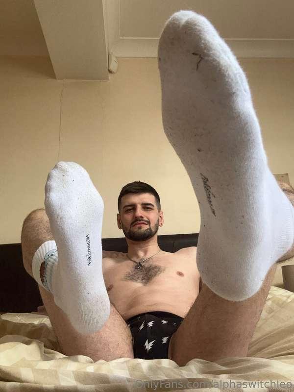 alphaswitchleo image #0