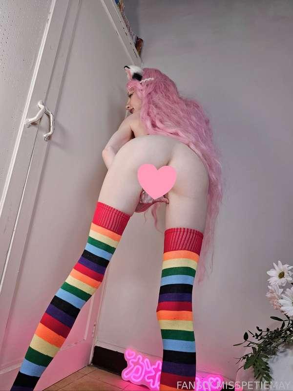 misspetitemay image #2
