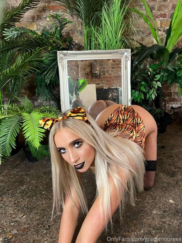 Rawrr 🐯