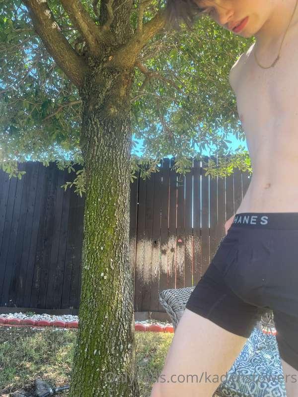 Which tree are you looking at? 🥵