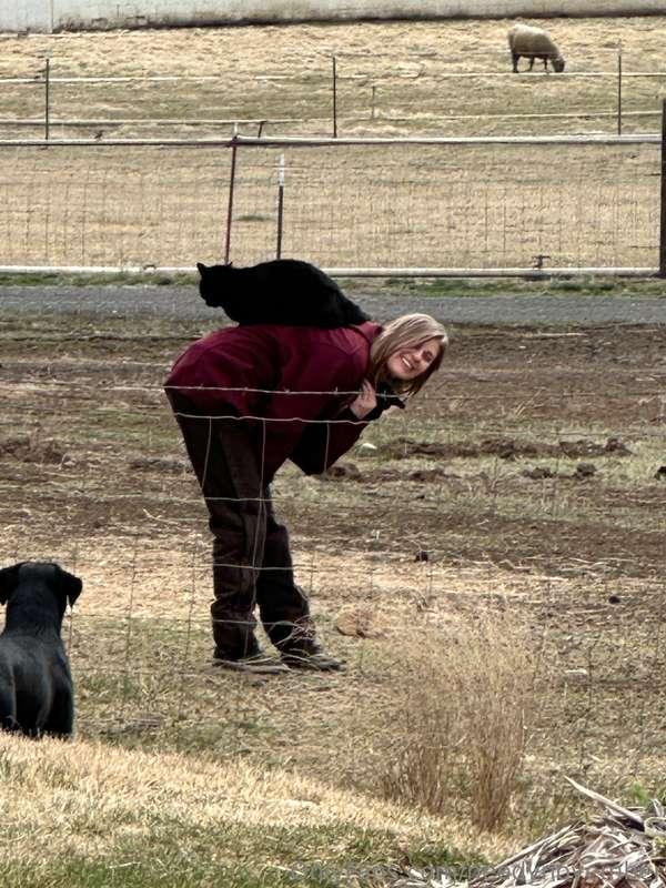 needynovember image #0