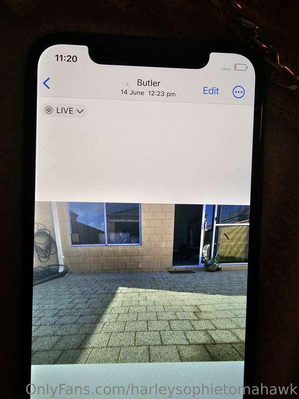 harleysophietomahawk image #20