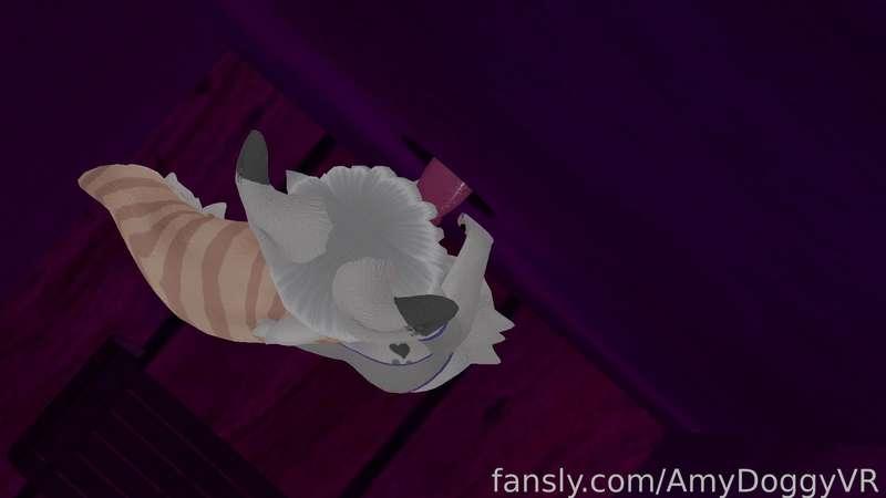 amydoggyvr image #2