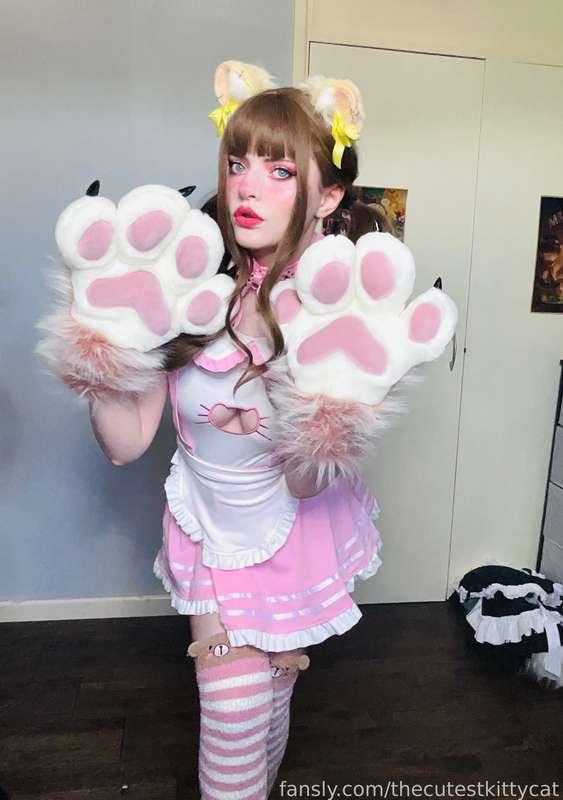 thecutestkittycat image #5