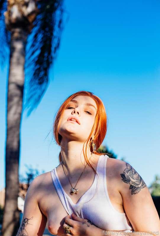 tayallard image #2