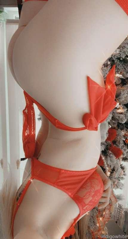 indigowhite image #12