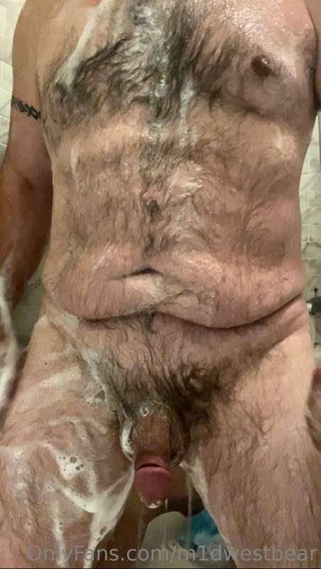 m1dwestbear image #0