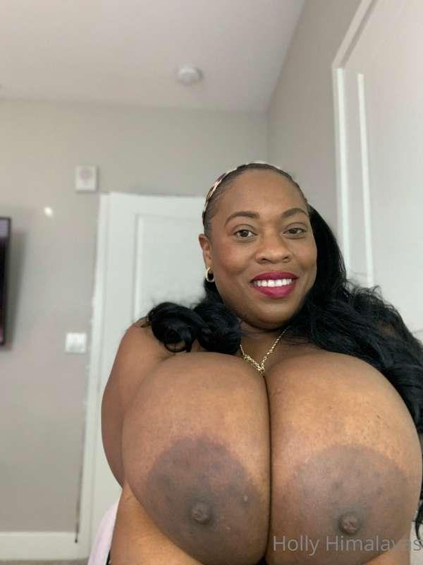 hollyhimalayas image #0