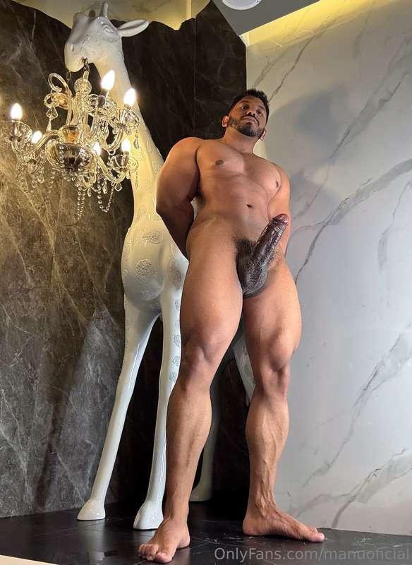 Te gustaría que yo sea tu Caballo? 🐴 