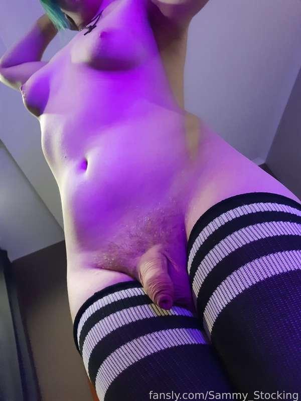 sammy_stocking image #3