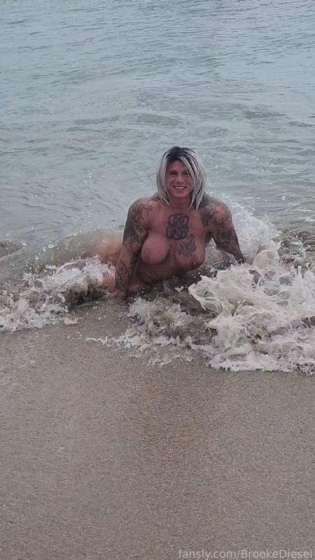brookediesel image #1