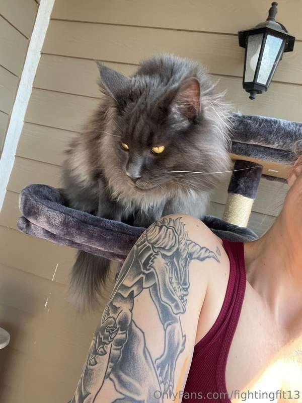 Gorgeous day in NC! Back to IL tomorrow! Behemoth shown with..