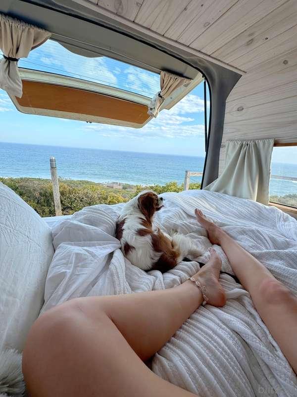 Out of office 🏖️ 🐶 🚐 Back on Friday!