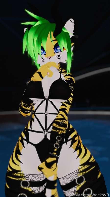shocksvr image #2