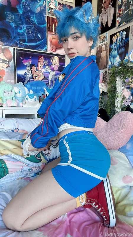 indigowhite image #307