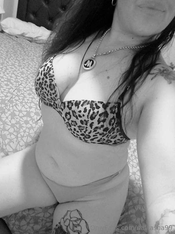 @shiamlover @shiamlover