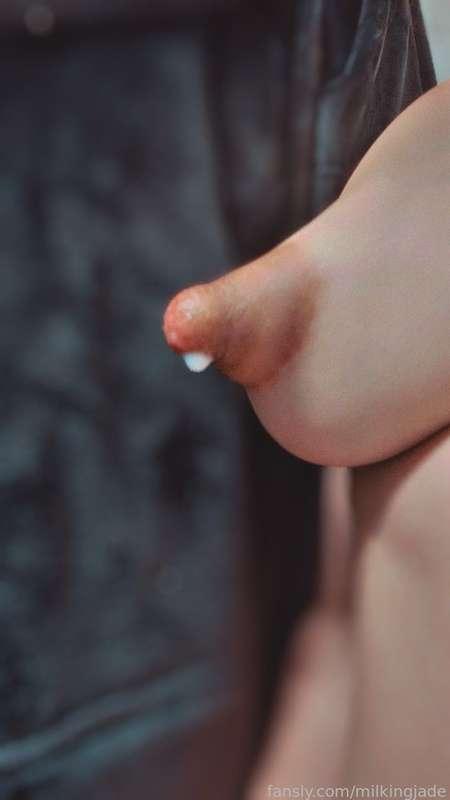 Mommy's got the milk...you bring the 🍪
Let's have an afternoon delight

#lactation #lactating #breastmilk #mommymilkers
