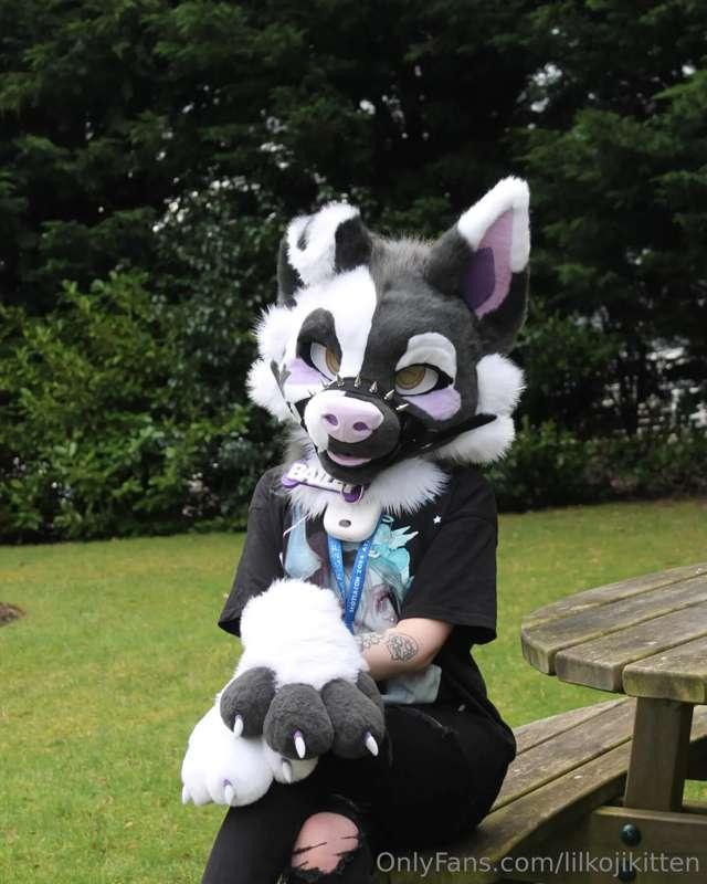 My new fursuit, Bailey! I posted lots of nudes in them on my..