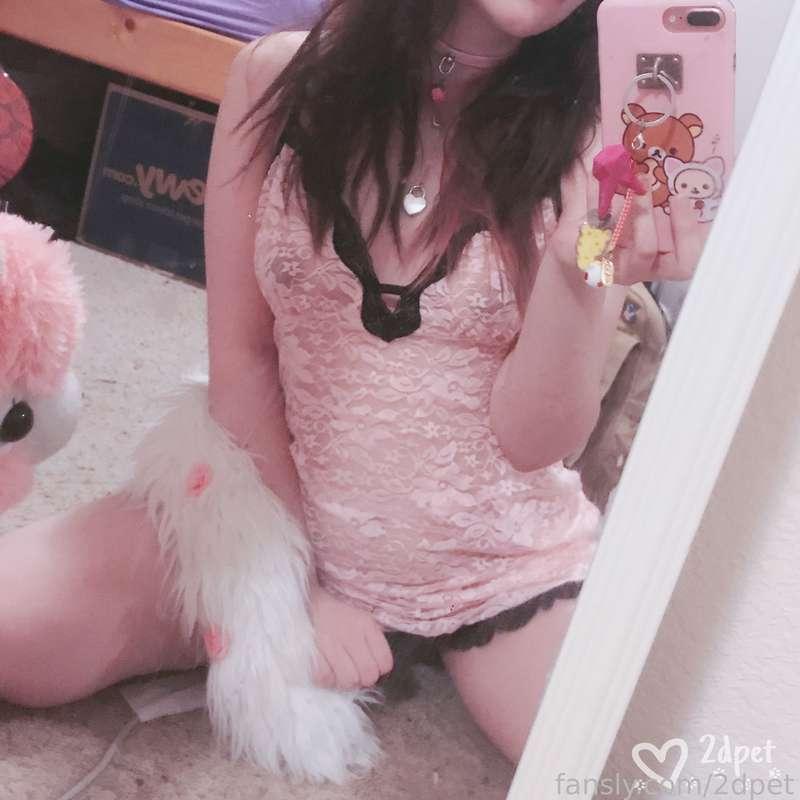 2dpet image #1