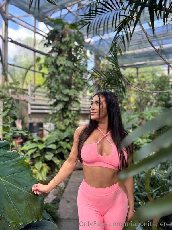 Do you like to give flowers...? 🌸And I like to turn into the..