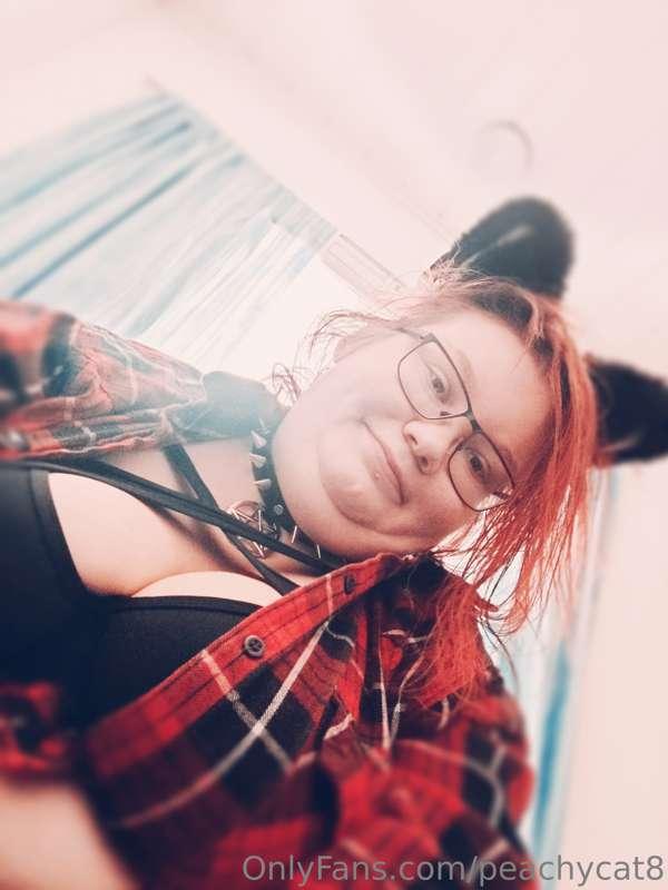 The kitty ears are back! 😻