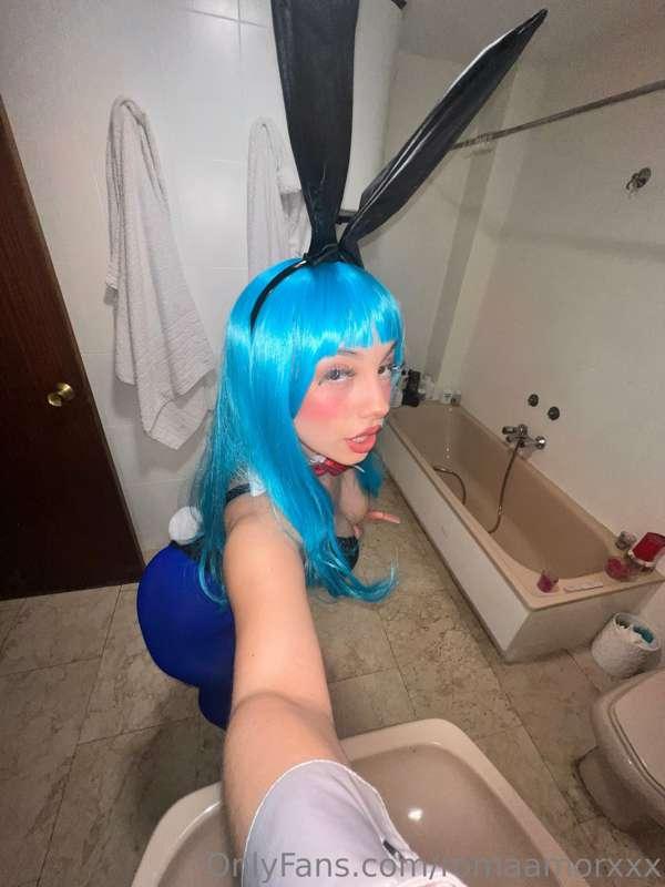 Bulma 🐰