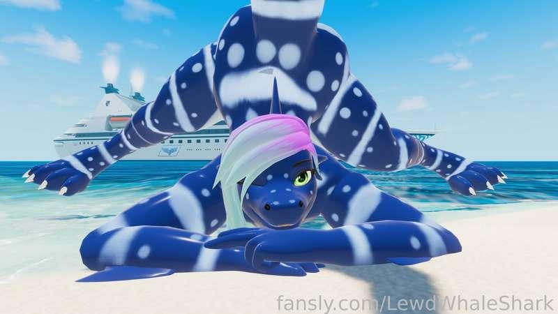 lewdwhaleshark image #5