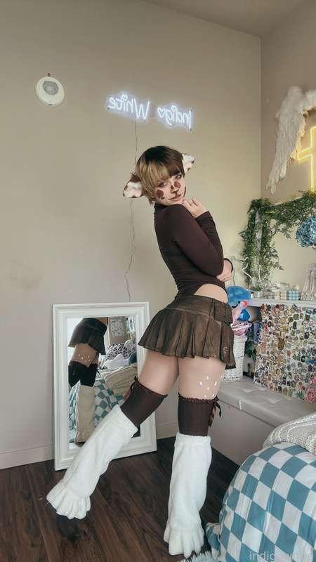 indigowhite image #44