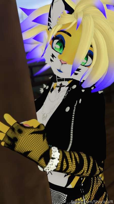 shocksvr image #4