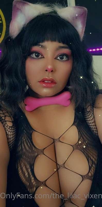 Vixen here! We are going to be shooting some really good con..