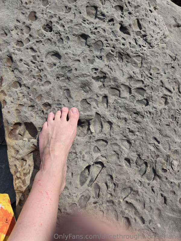 I love going on walkabout! Fossils, bonfires, the Fundy Bay-..