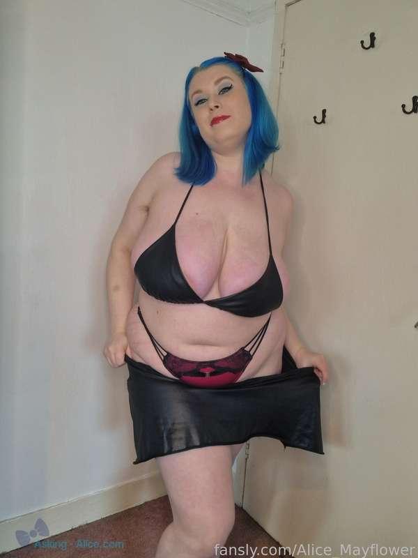 alice_mayflower image #9