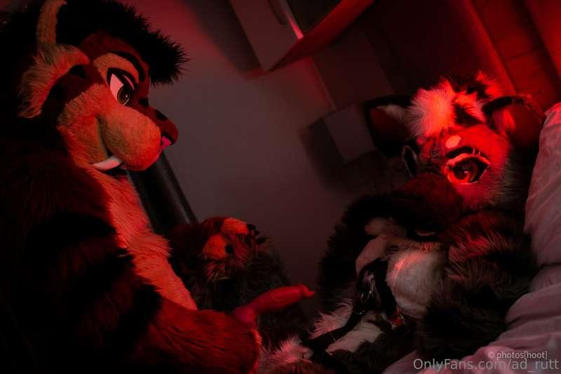 ad_rutt image #1