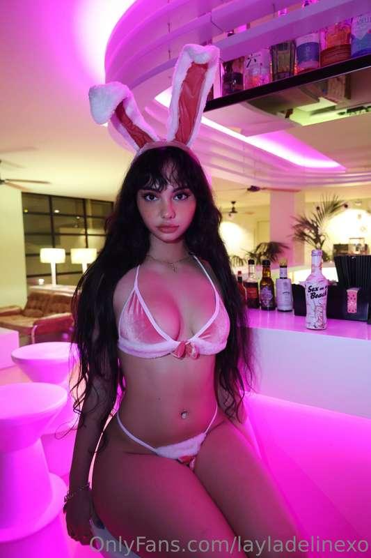 Am i your favorite 🐰?