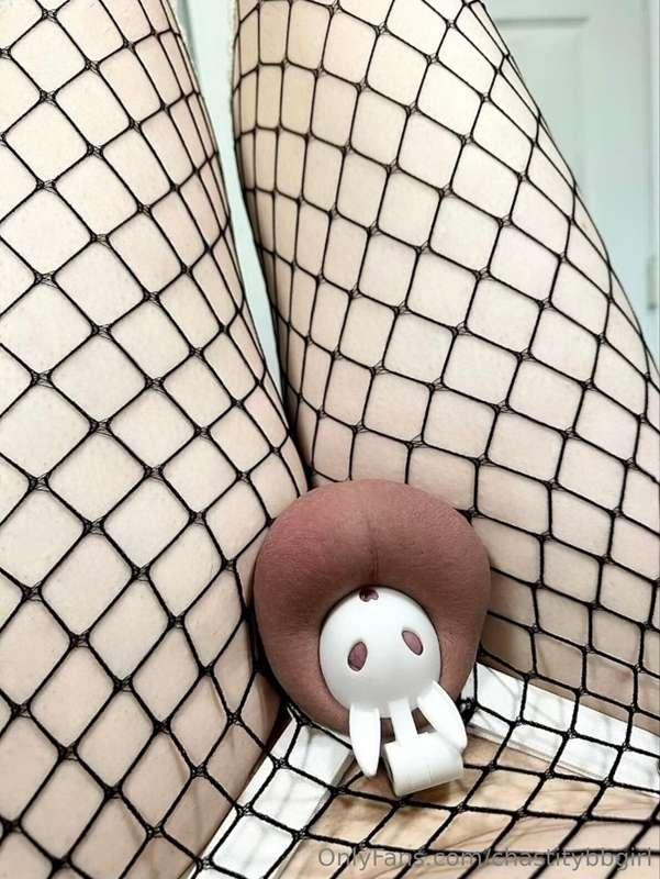 chastitybbgirl image #1