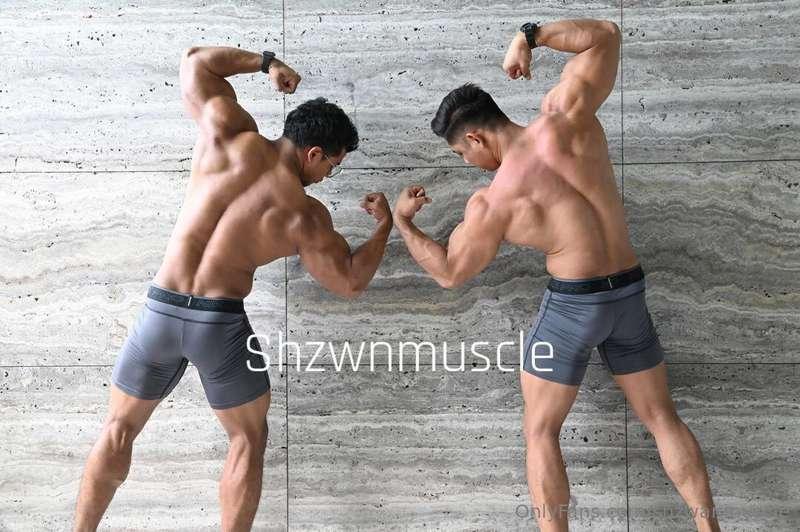 shzwanmuscle image #3