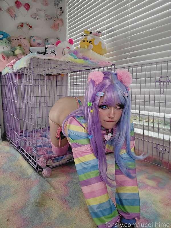 luceilhime image #0