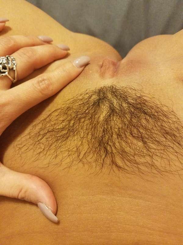 Bush Update