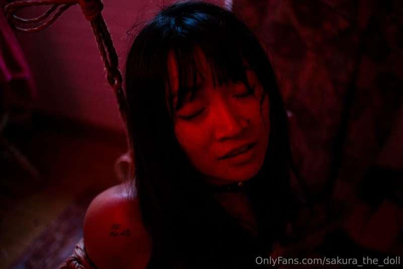 sakura_the_doll image #21