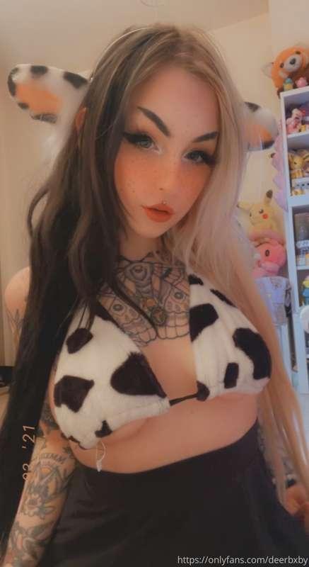 deerbxby image #5