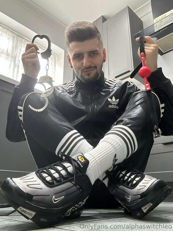 alphaswitchleo image #2