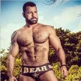 luizbear88