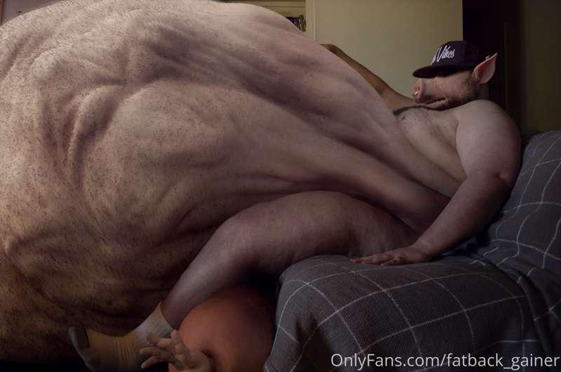 fatback_gainer image #8