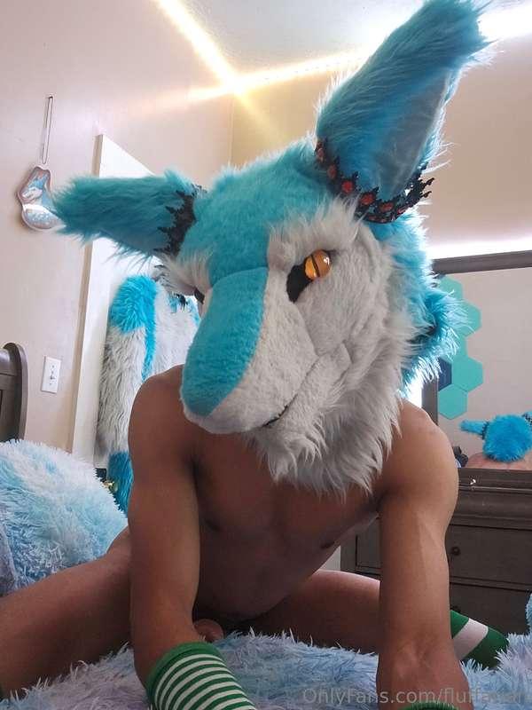 Needy sergal~
