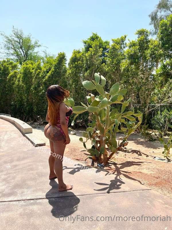 I'll let you control this body if you come to @moriahmillss ..
